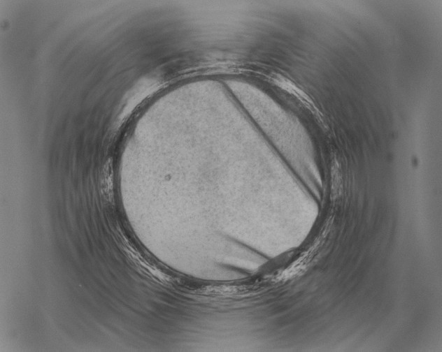 X0000068261450200605191751