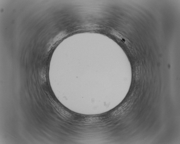 X0000068261451200605191751