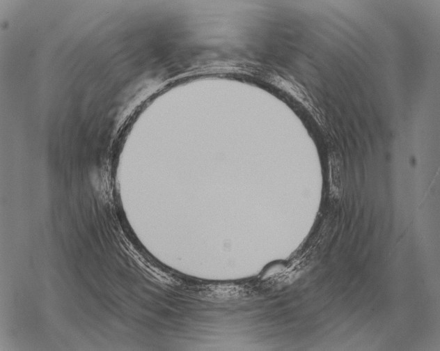 X0000068261452200605191751