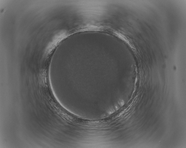 X0000068261455200605191751