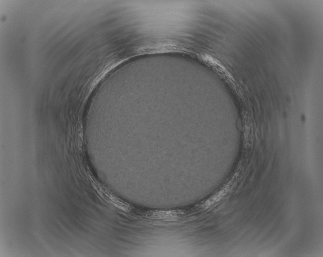 X0000068261457200605191751