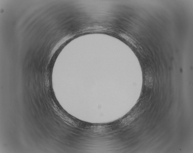 X0000068261458200605191751