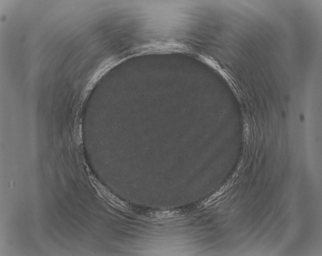 X0000068261459200605191751