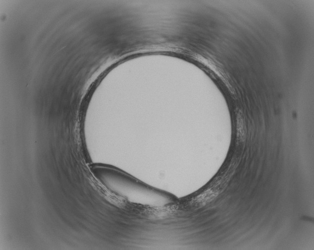 X0000068261460200605191751