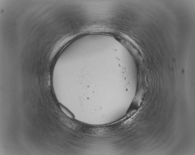 X0000068261461200605191751