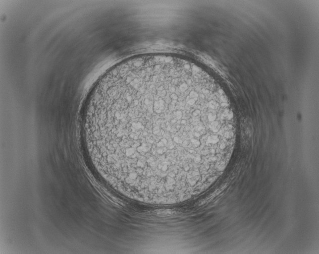 X0000068261463200605191751