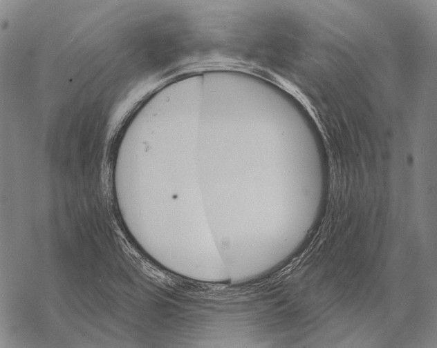 X0000068261464200605191751