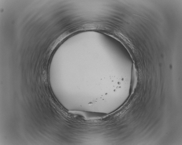 X0000068261465200605191751