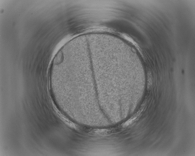 X0000068261467200605191751