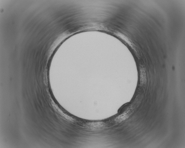 X0000068261468200605191751