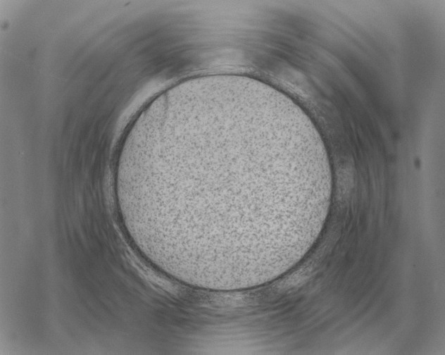 X0000068261470200605191751