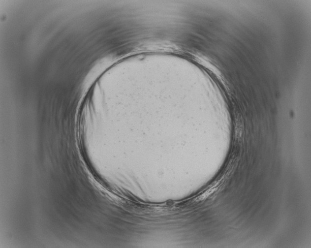 X0000068261471200605191751