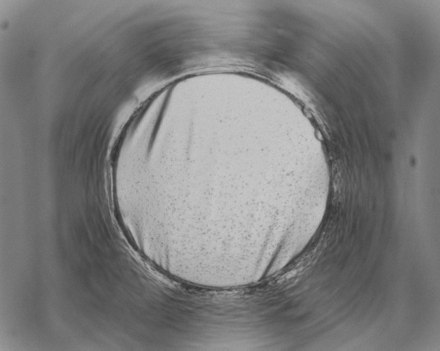 X0000068261472200605191750