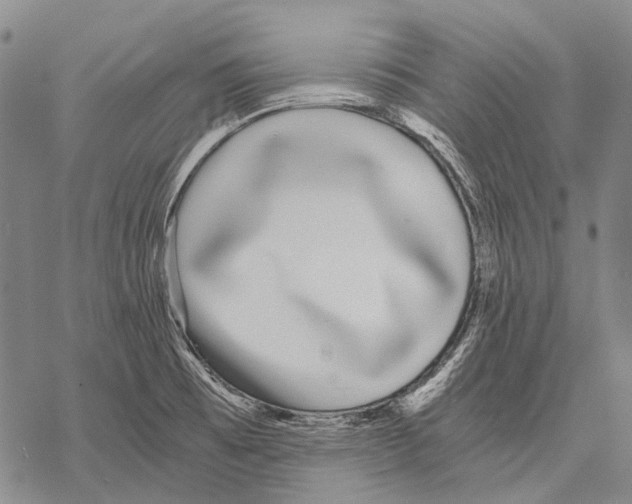 X0000068261473200605191750