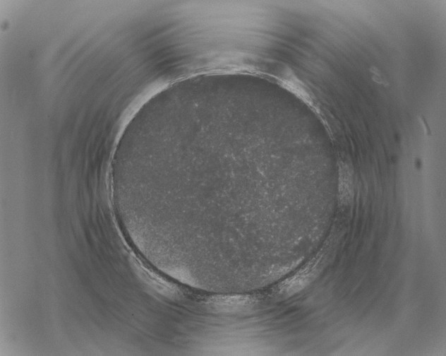 X0000068261474200605191750