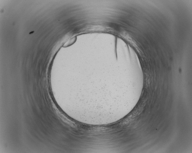 X0000068261475200605191750