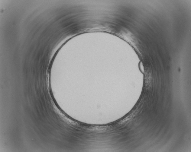 X0000068261476200605191750