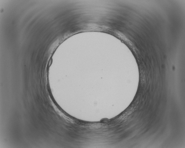 X0000068261479200605191750