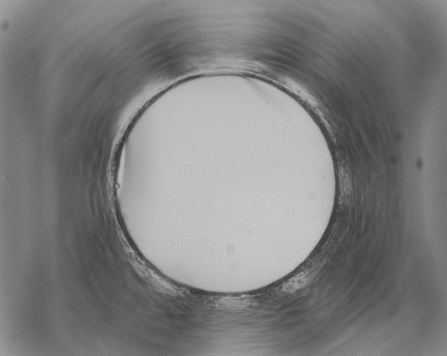 X0000068261480200605191750