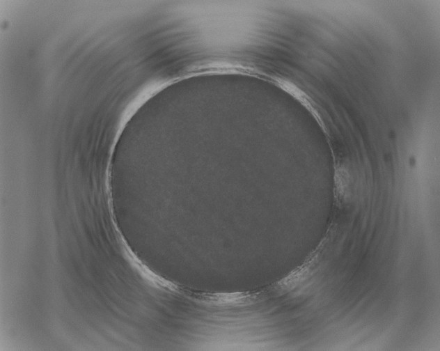 X0000068261482200605191750