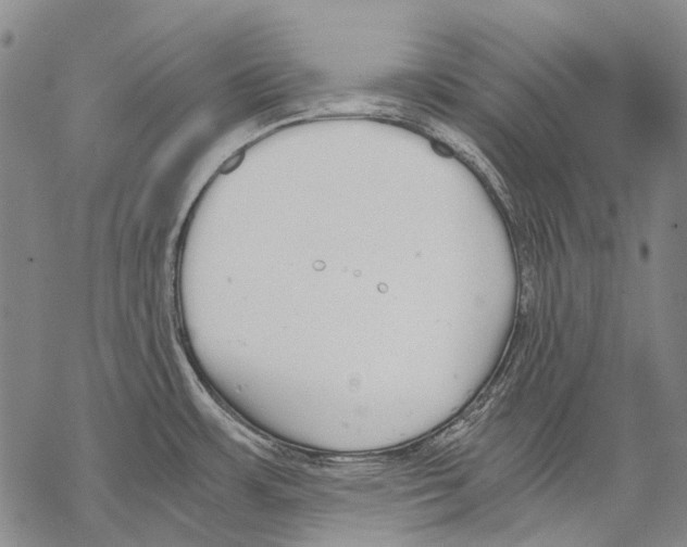 X0000068261483200605191750