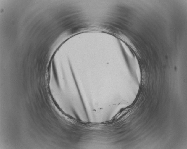 X0000068261484200605191750