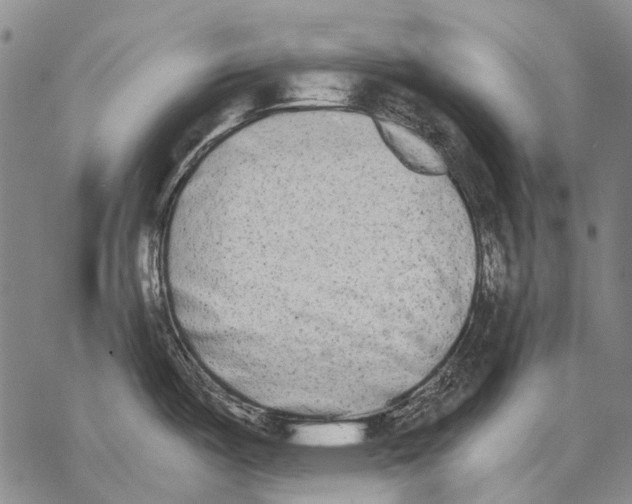 X0000068261487200605191750