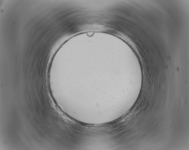 X0000068261488200605191750