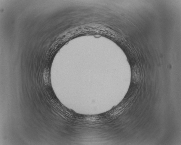 X0000068261490200605191749