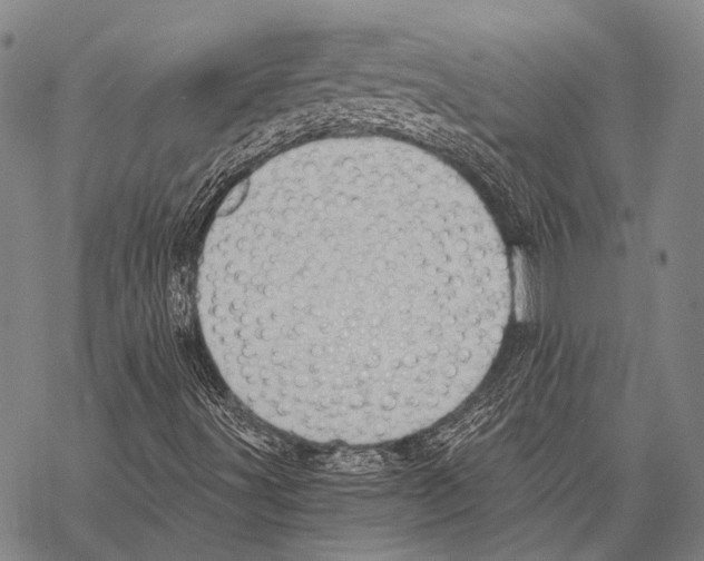 X0000068261491200605191750