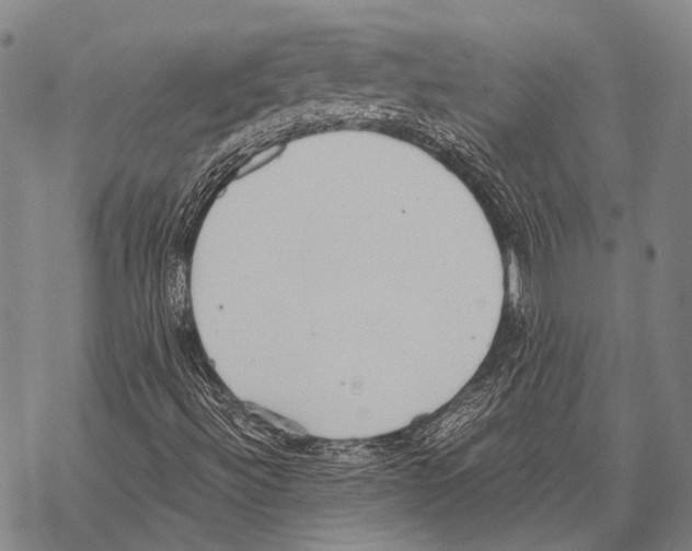 X0000068261492200605191750