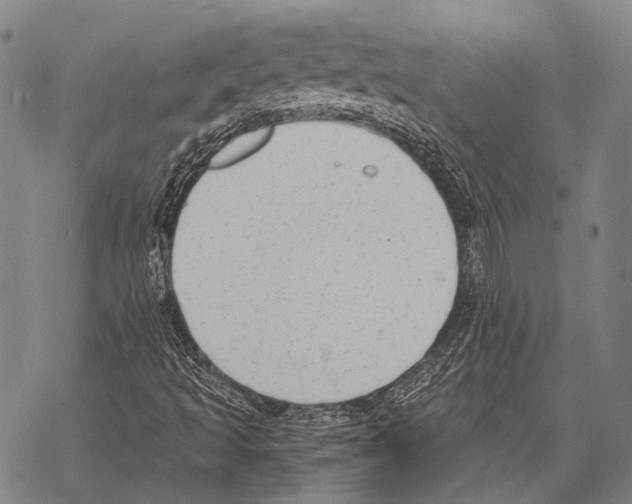 X0000068261493200605191750