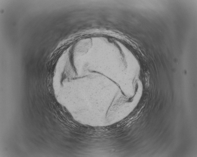 X0000068261494200605191750