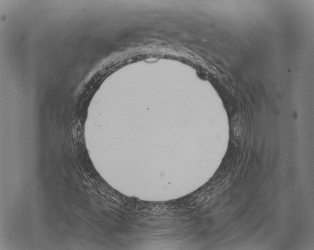 X0000068261495200605191750