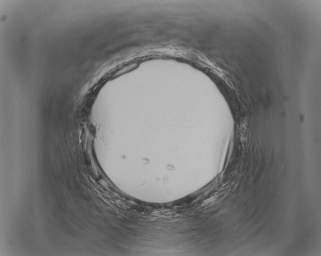 X0000068261496200605191750