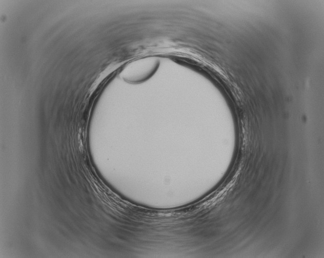 X0000068261497200605191750