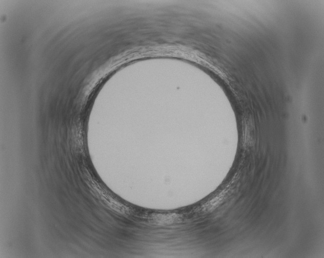 X0000068261498200605191750