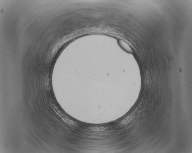 X0000068261499200605191750