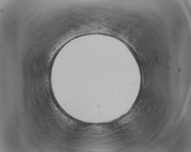 X0000068261500200605191750