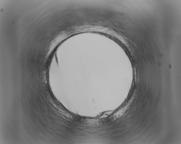 X0000068261501200605191750