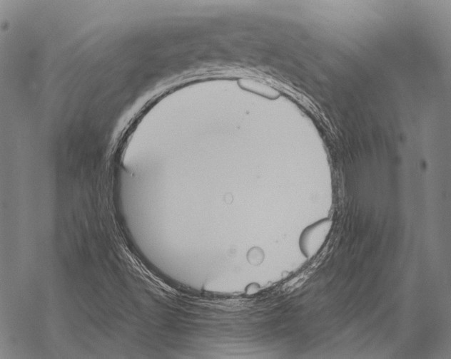 X0000068261502200605191750