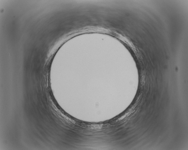 X0000068261504200605191750