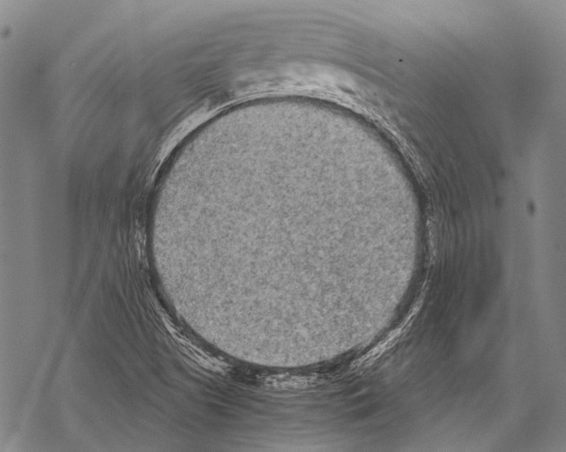 X0000068261505200605191750