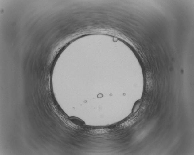 X0000068261507200605191750