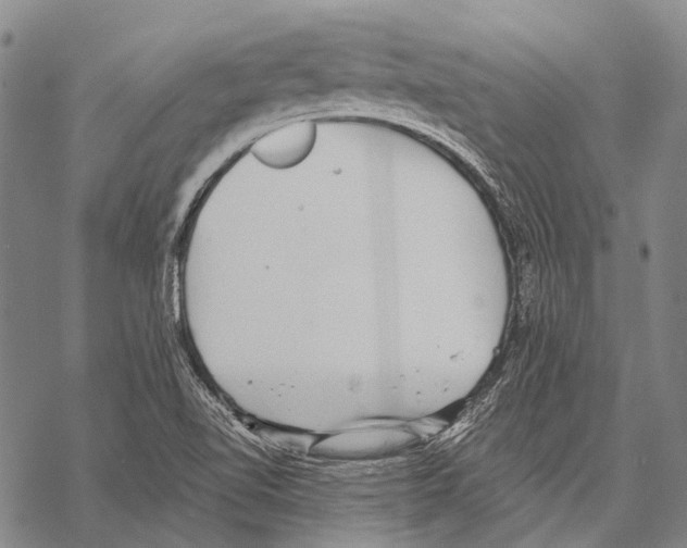 X0000068261510200605191750