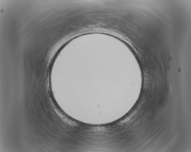 X0000068261511200605191750