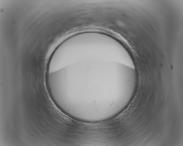 X0000068261512200605191750