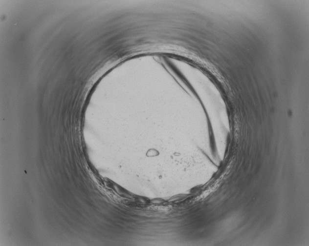 X0000068261513200605191750