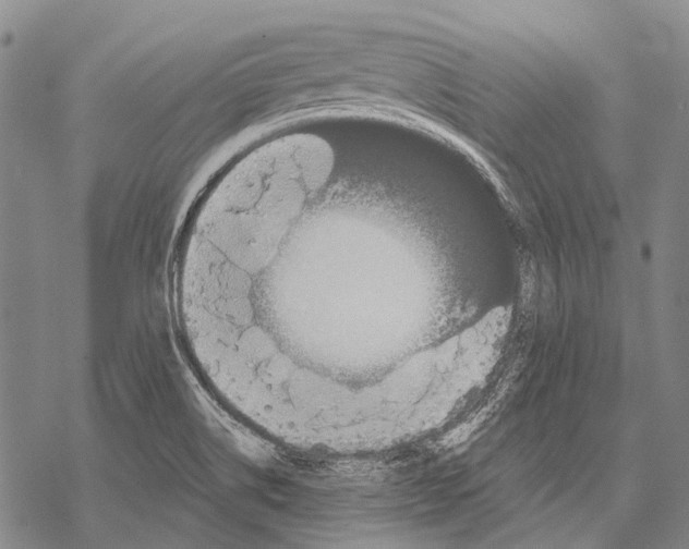 X0000068261514200605191750