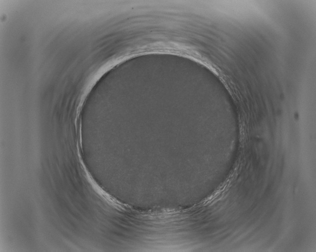 X0000068261515200605191750